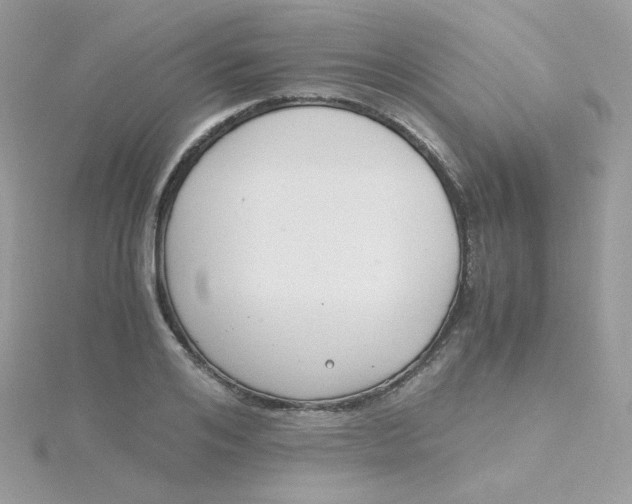 X0000115480984200911271325