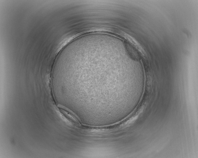 X0000115480985200911271325