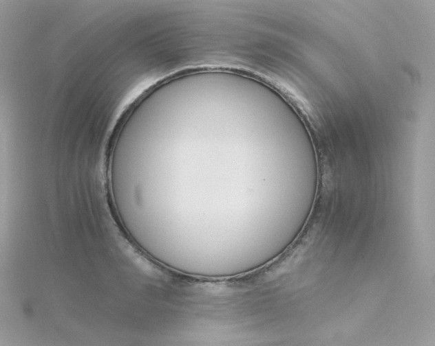 X0000115480990200911271325