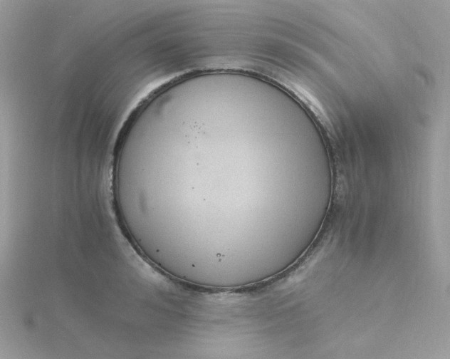 X0000115480992200911271324