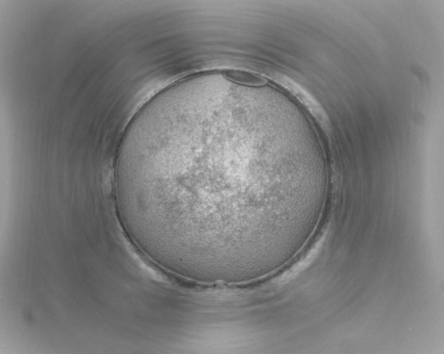 X0000115480993200911271324