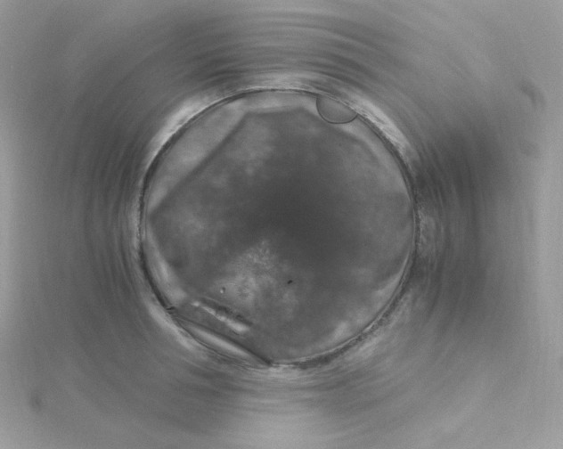 X0000115480994200911271324