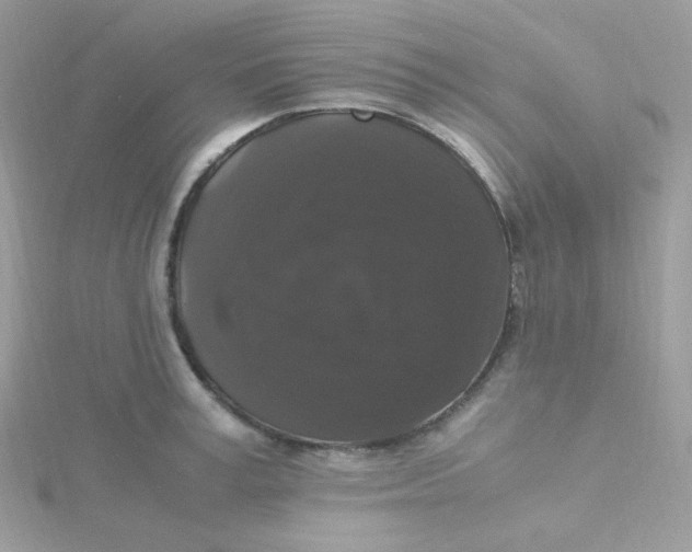 X0000115480995200911271324