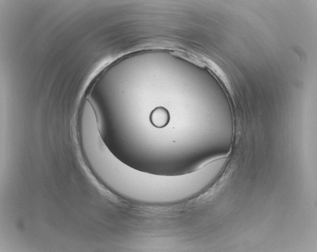 X0000115480997200911271324