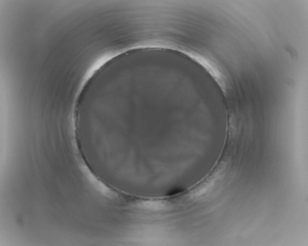 X0000115480998200911271324