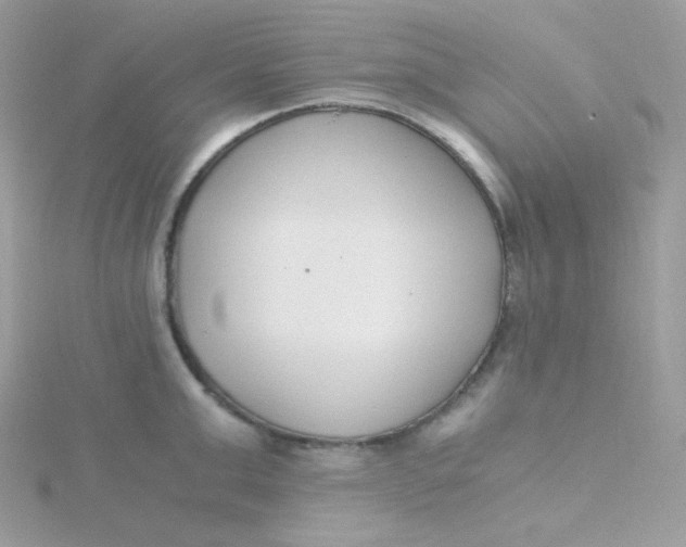 X0000115480999200911271324