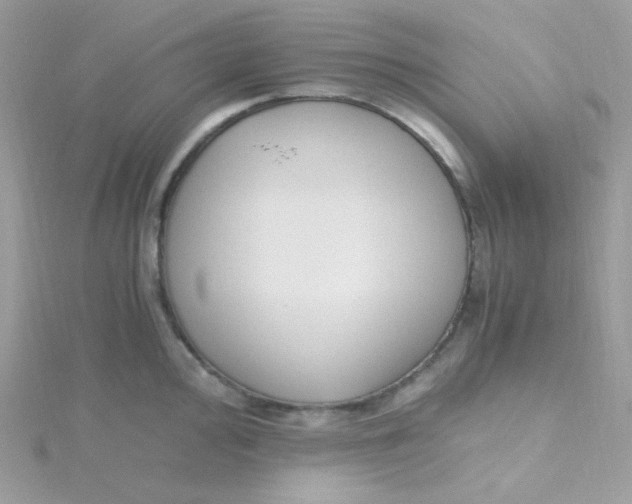 X0000115481000200911271324