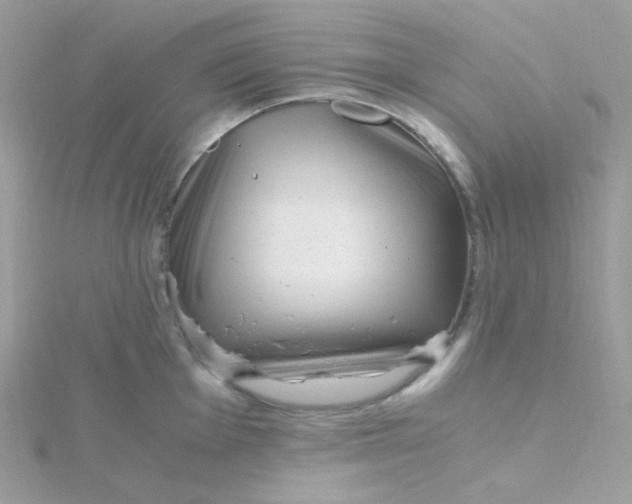 X0000115481001200911271324