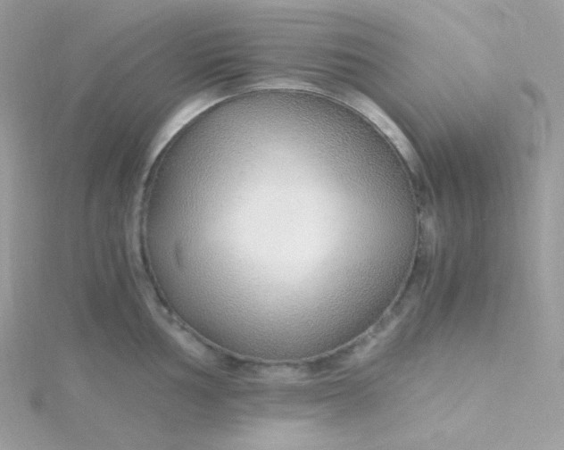 X0000115481002200911271324