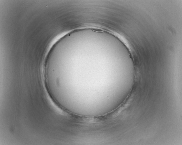 X0000115481003200911271324