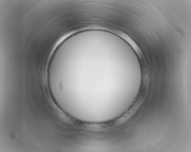 X0000115481004200911271324