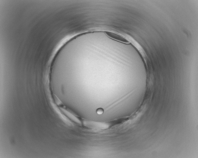 X0000115481005200911271324