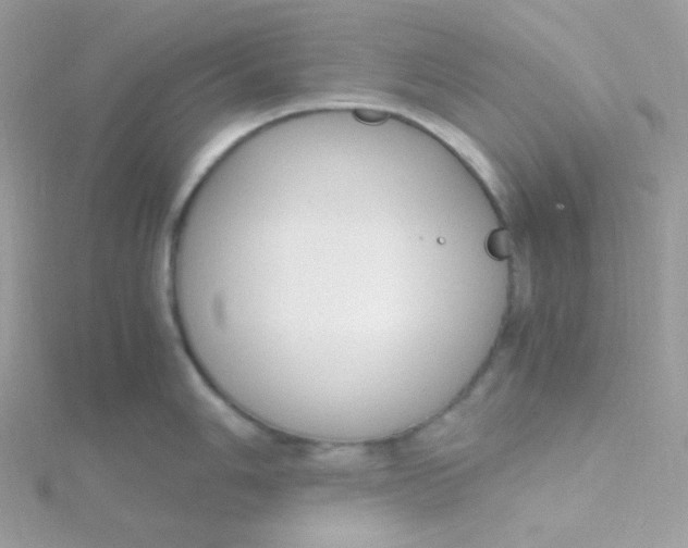 X0000115481006200911271324