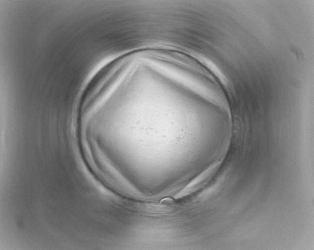 X0000115481007200911271324