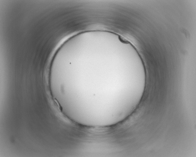 X0000115481008200911271324