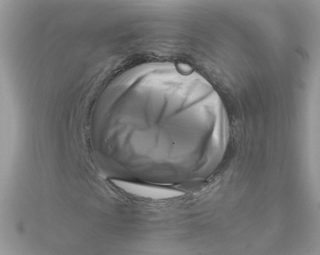 X0000115481009200911271324