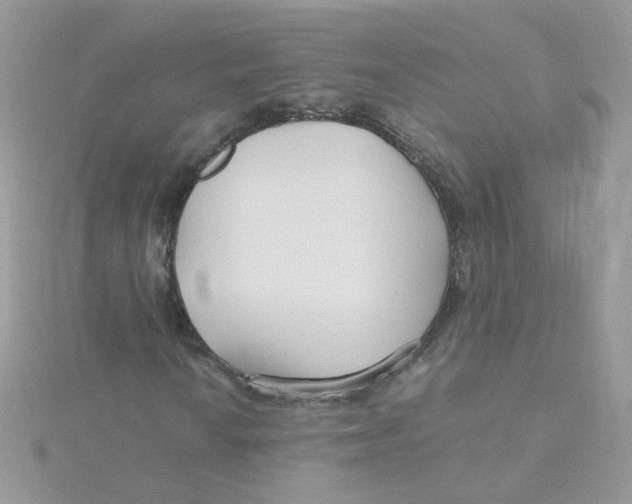 X0000115481010200911271324