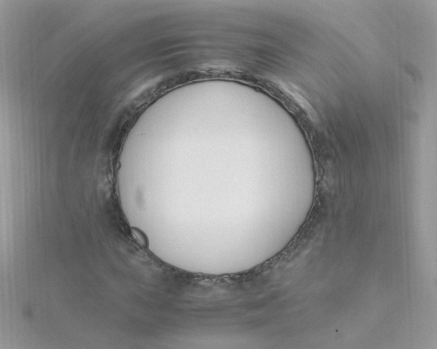 X0000115481015200911271324