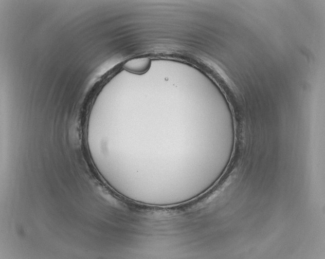 X0000115481018200911271324