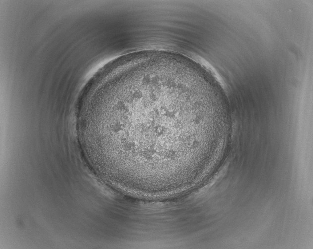 X0000115481019200911271324