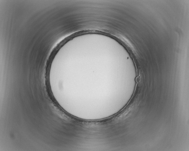 X0000115481020200911271324