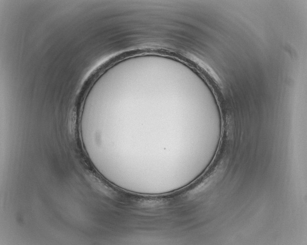 X0000115481021200911271324