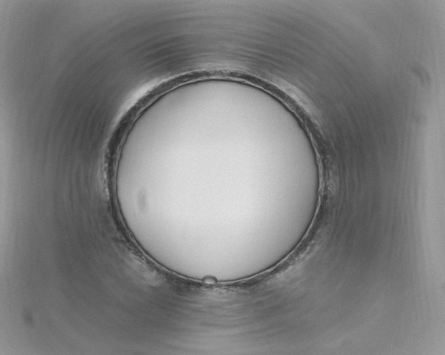 X0000115481022200911271324