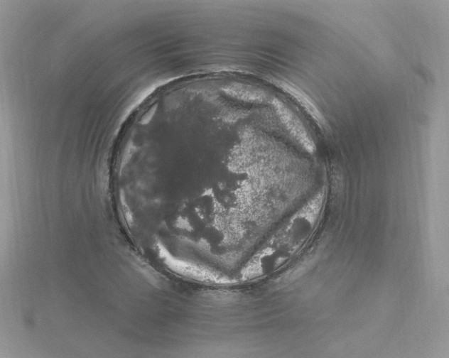 X0000115481023200911271324