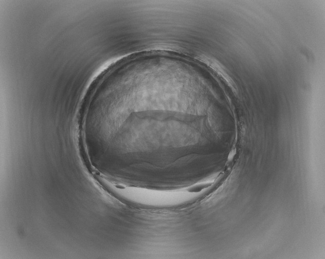 X0000115481024200911271324