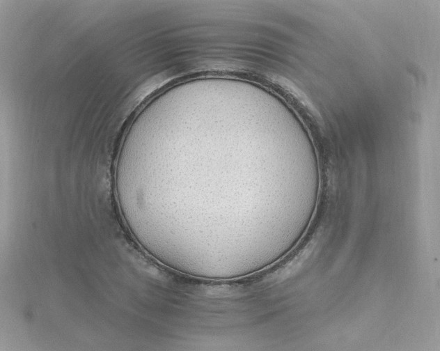 X0000115481025200911271324