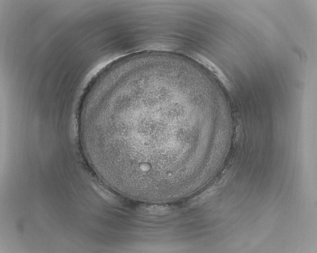 X0000115481027200911271324