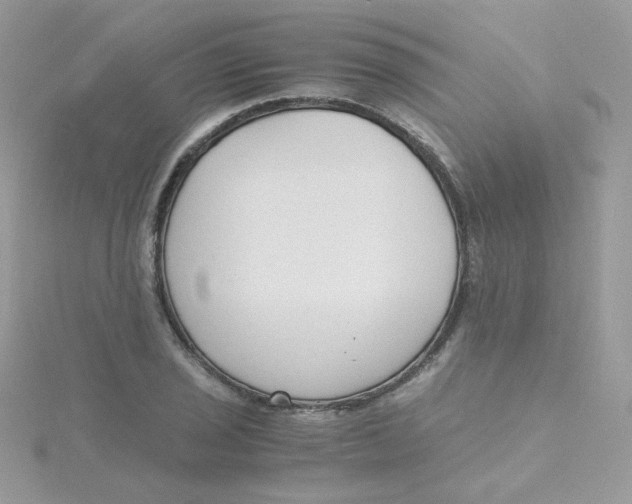 X0000115481029200911271324