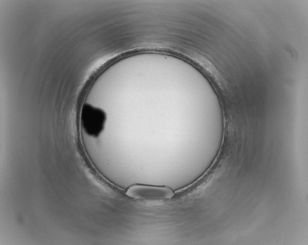 X0000115481030200911271324