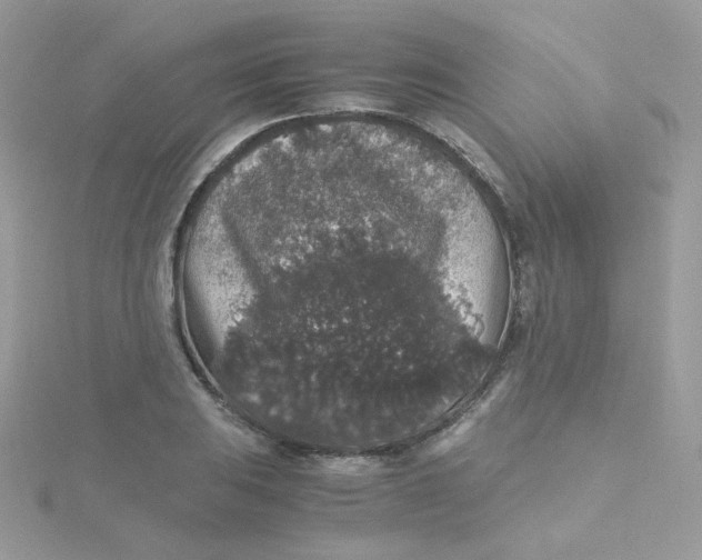 X0000115481031200911271324