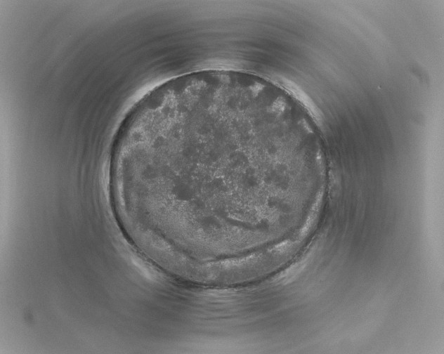 X0000115481035200911271324