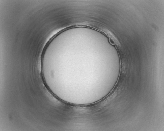 X0000115481036200911271324