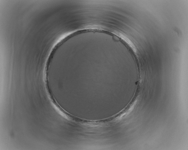 X0000115481037200911271324