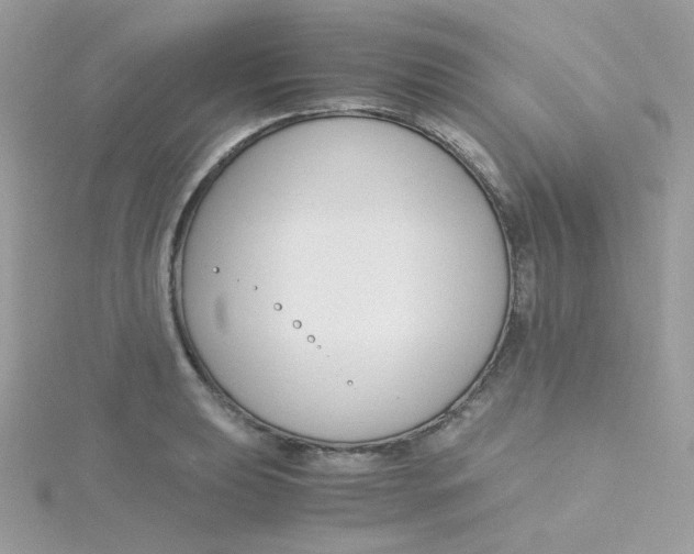 X0000115481039200911271324