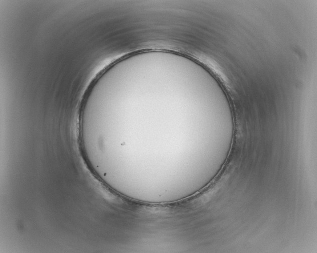 X0000115481040200911271324