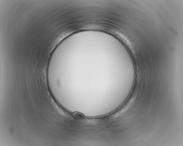 X0000115481041200911271324