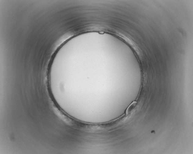 X0000115481042200911271324