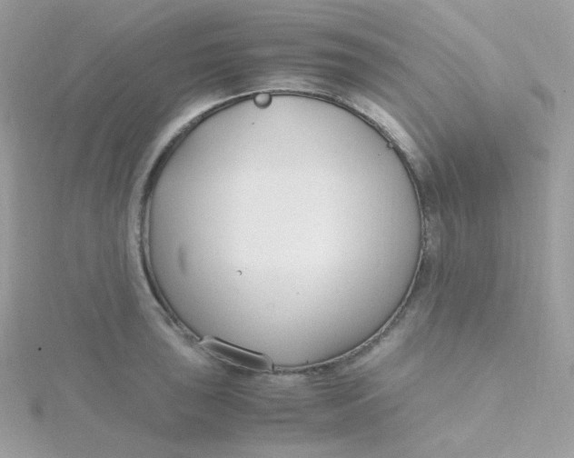 X0000115481043200911271324