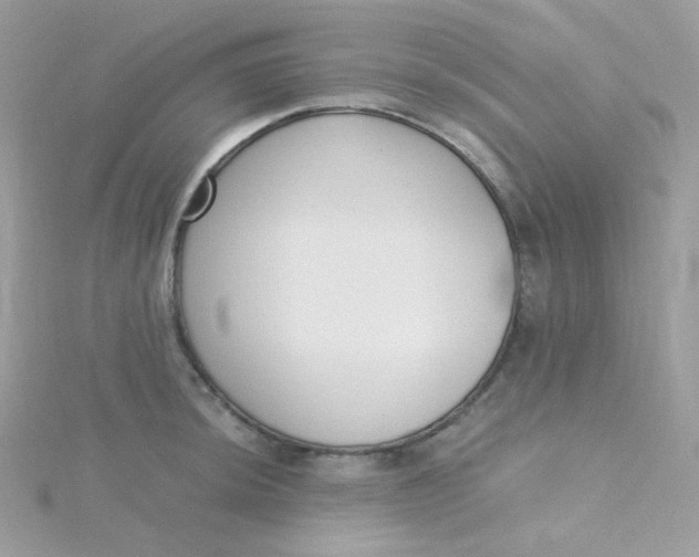 X0000115481044200911271324