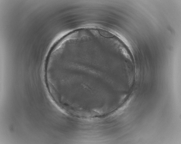 X0000115481045200911271324