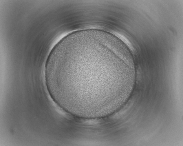 X0000115481047200911271324