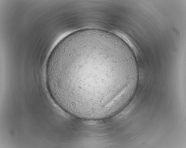 X0000115481048200911271324