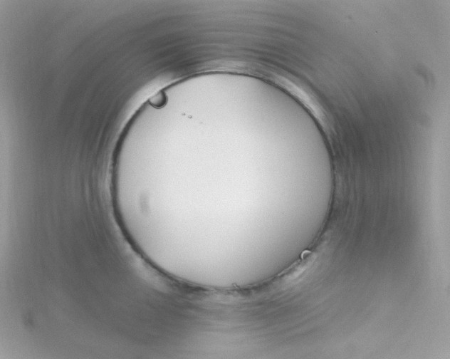 X0000115481050200911271324