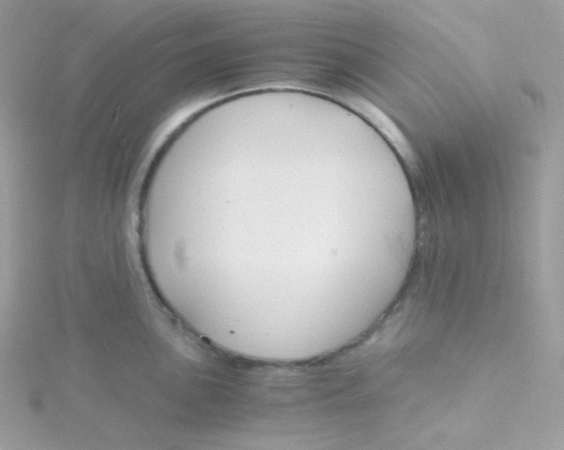 X0000115481051200911271324