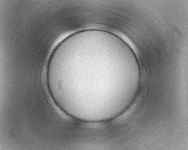 X0000115481053200911271324