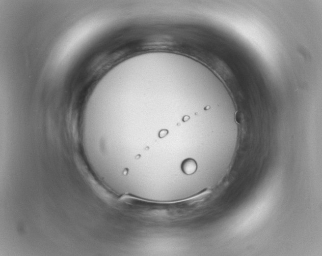 X0000115481054200911271324